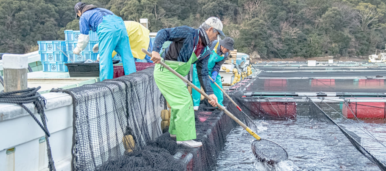 /aquaculture/?language=tw